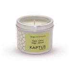 bougie-a-la-cire-de-soja-figue-citron-collection-voyage