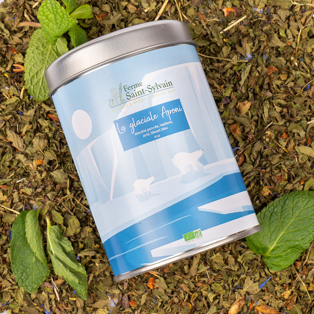 Tisane La Glaciale Aponi Bio