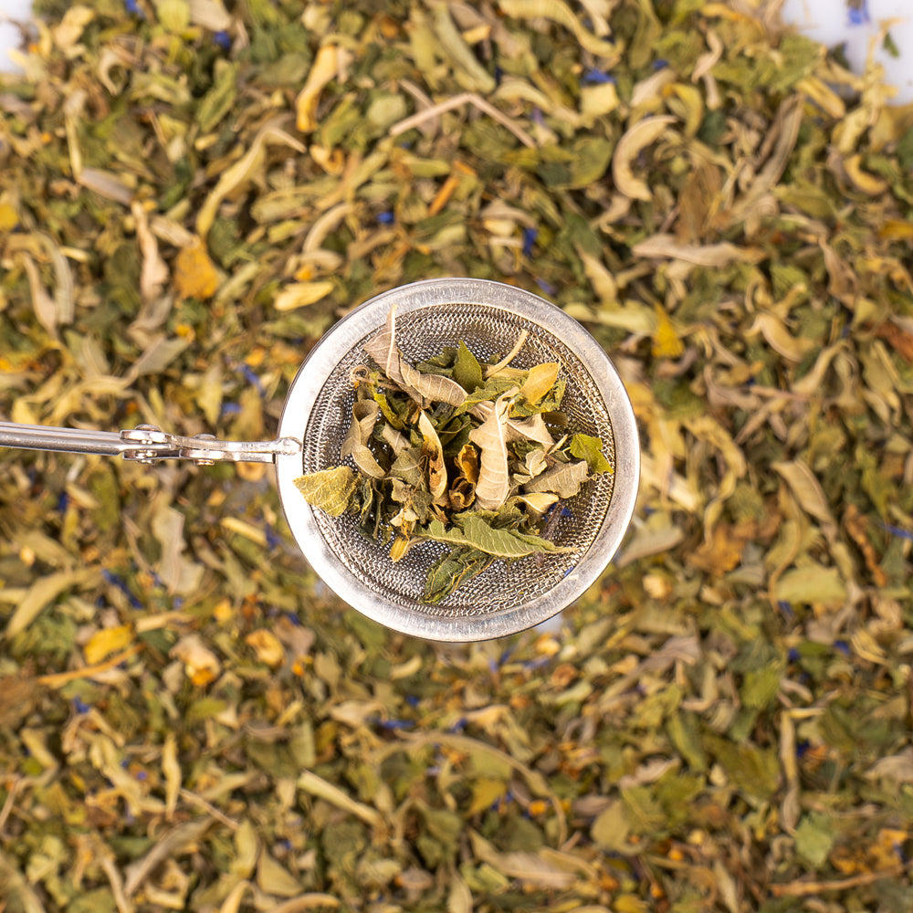 Tisane Rêverie en forêt Bio