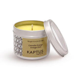 bougie-a-la-cire-de-soja-cannelle-orange-2